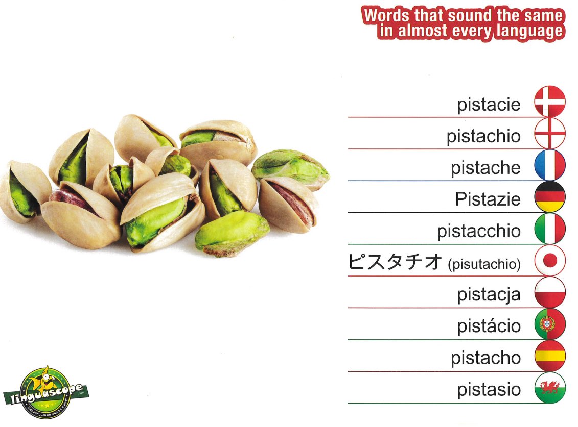 Caldicott MFL (@caldicottmfl) on Twitter photo Words that sound the same in almost every language…<a href="/CaldicottSchool/">Caldicott</a> <a href="/LightBulbLangs/">Light Bulb Languages 💡</a> <a href="/linguascope/">Linguascope</a> <a href="/Les_Machin/">Les Machin 🇫🇷</a> <a href="/TeachitLang/">Teachit Languages</a> <a href="/suzibewell/">Suzi Bewell | Polly Glot Languages</a> <a href="/KlooGame/">KLOO Languages</a> <a href="/ALL4language/">ALL Languages</a> <a href="/FrenchEdUK/">French Education Office UK</a> <a href="/all4languages/">All Language Schools</a> <a href="/gianfrancocont9/">Dr Gianfranco Conti</a> <a href="/Language_Gym/">The Language Gym</a> <a href="/JacquesAndJack/">Jacques & Jack - False friends 🇬🇧🇺🇸/🇫🇷</a> Words that sound the same in almost every language…<a href="/CaldicottSchool/">Caldicott</a> <a href="/LightBulbLangs/">Light Bulb Languages 💡</a> <a href="/linguascope/">Linguascope</a> <a href="/Les_Machin/">Les Machin 🇫🇷</a> <a href="/TeachitLang/">Teachit Languages</a> <a href="/suzibewell/">Suzi Bewell | Polly Glot Languages</a> <a href="/KlooGame/">KLOO Languages</a> <a href="/ALL4language/">ALL Languages</a> <a href="/FrenchEdUK/">French Education Office UK</a> <a href="/all4languages/">All Language Schools</a> <a href="/gianfrancocont9/">Dr Gianfranco Conti</a> <a href="/Language_Gym/">The Language Gym</a> <a href="/JacquesAndJack/">Jacques & Jack - False friends 🇬🇧🇺🇸/🇫🇷</a>