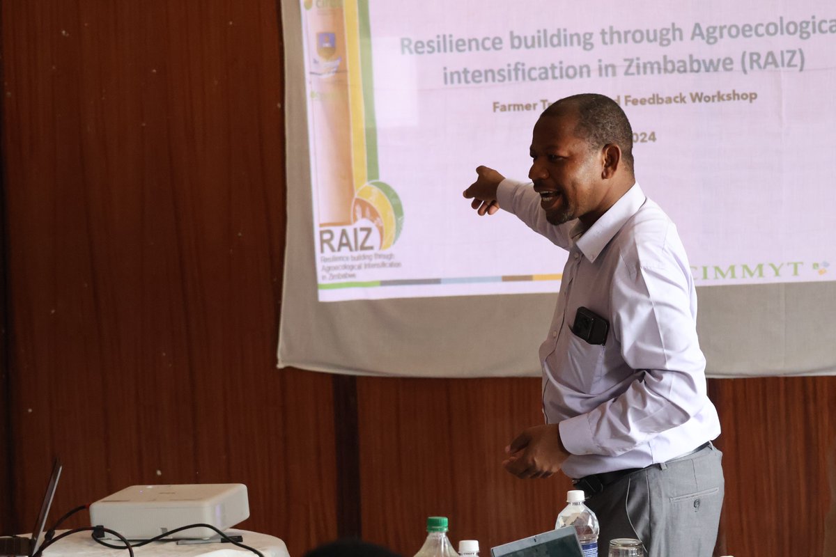 <a href="/RAIZ_project/">RAIZ</a> continued with farmer feedback sessions and farmer trainings in prerapration of the oncoming rain season in Murehwa district. Reflections from the past seasons, climate information services. soil amendments options and organic pest control options were demonstrated