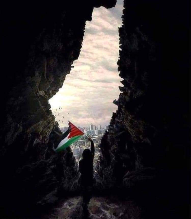 chadichoughari's tweet photo. #ترامب ام #كاميلا ، أياً كان الفائز في #الانتخابات_الأمريكية لن يكون هناك أي إنصاف للقضية الفلسطينية .. السياسة الأمريكية واحدة وهي الانحياز التام للاحتلال والأب الروحي له منذ نشأته .. لم ولن نتأمل خيراً بكل الأحوال.. https://t.co/7C17N42hDT