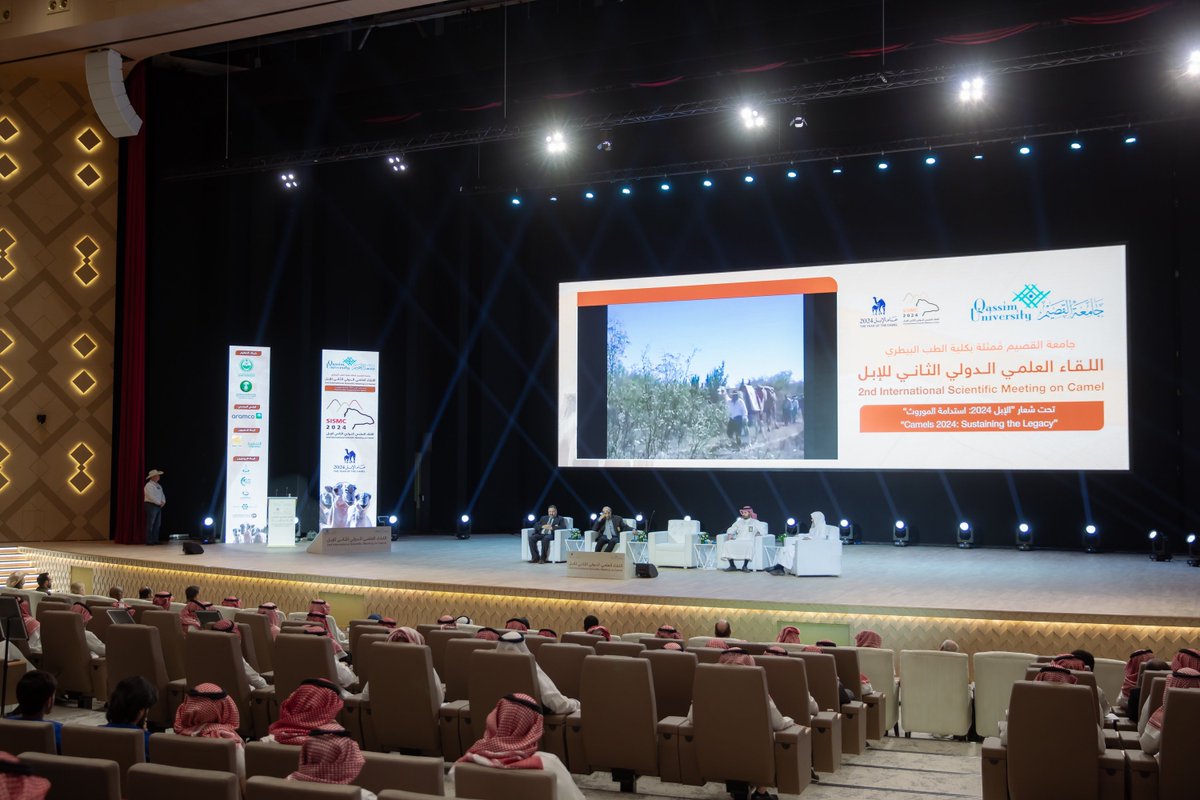QassimUniv1's tweet photo. جانب من الجلسة الثالثة لليوم الثاني من «اللقاء العلمي الدولي الثاني للإبل» بعنوان «التطورات الحديثة في تشخيص أمراض الإبل وكشف العبث» والتي ناقشت جينات الأنماط اللونية لوبر الإبل، والخلايا الجذعية، والتجارب الدولية على الإبل، بمشاركة عدد من المختصين الدوليين، بمركز المؤتمرات بالمدينة الجامعية.

#جامعة_القصيم 
#عام_الإبل_2024