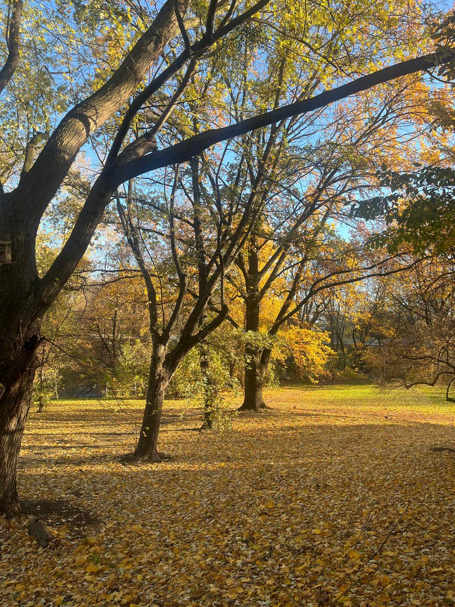 Ambassador Patrick Haughey tweet media