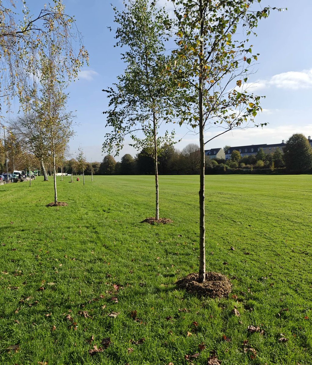 PlymouthTreePeople tweet media