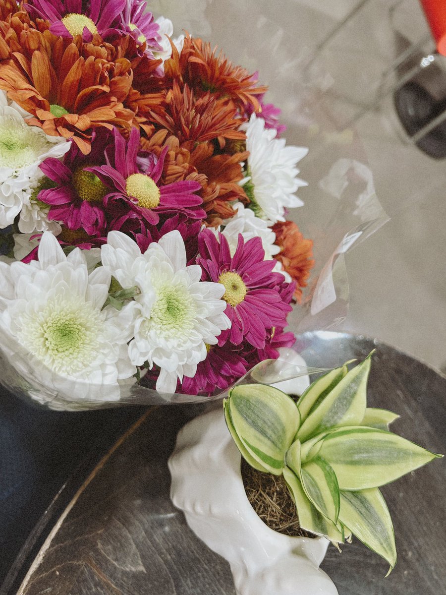 “Hoy vi estas flores y esta plantita me acordé de ti mi amor” 

Mi novio un día cualquiera ♥️