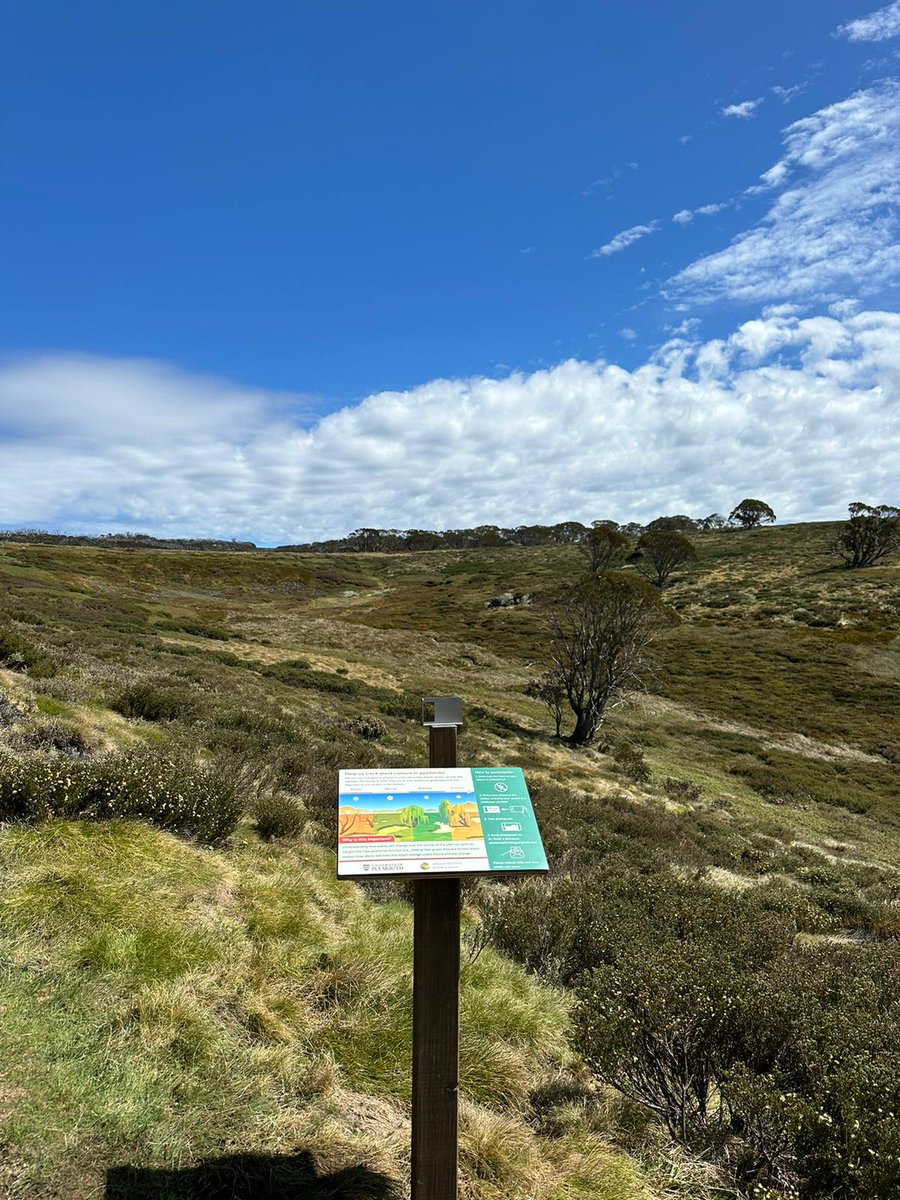 Dr Scott J. Davidson tweet media