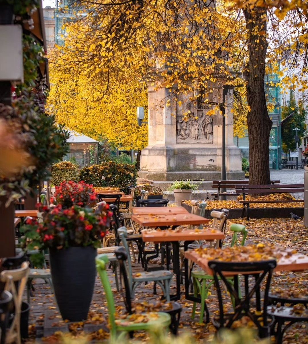 Travel_2Romania's tweet image. Toamnă de la a Cluj-Napoca #ClujNapoca #România
©️Cosmin.Oana
#TraveltoRomânia