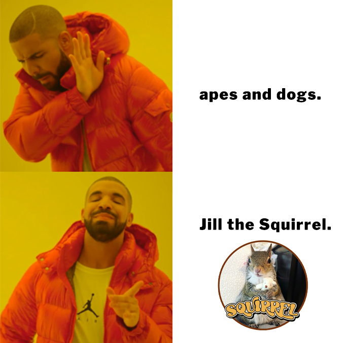Squirrel_TOKEN_'s tweet photo. Forget apes and dogs, the BNB Chain has Jill the Squirrel! 🐿️ https://t.co/B5rbVuuPOD