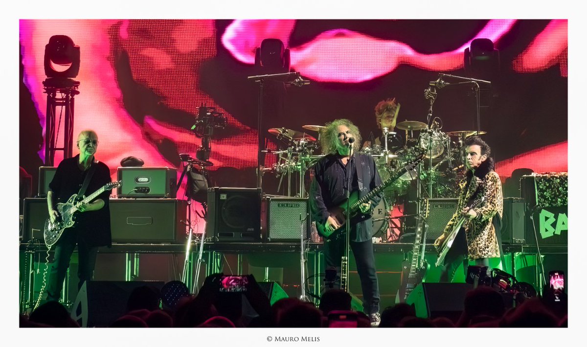 MauroMelis tweet media