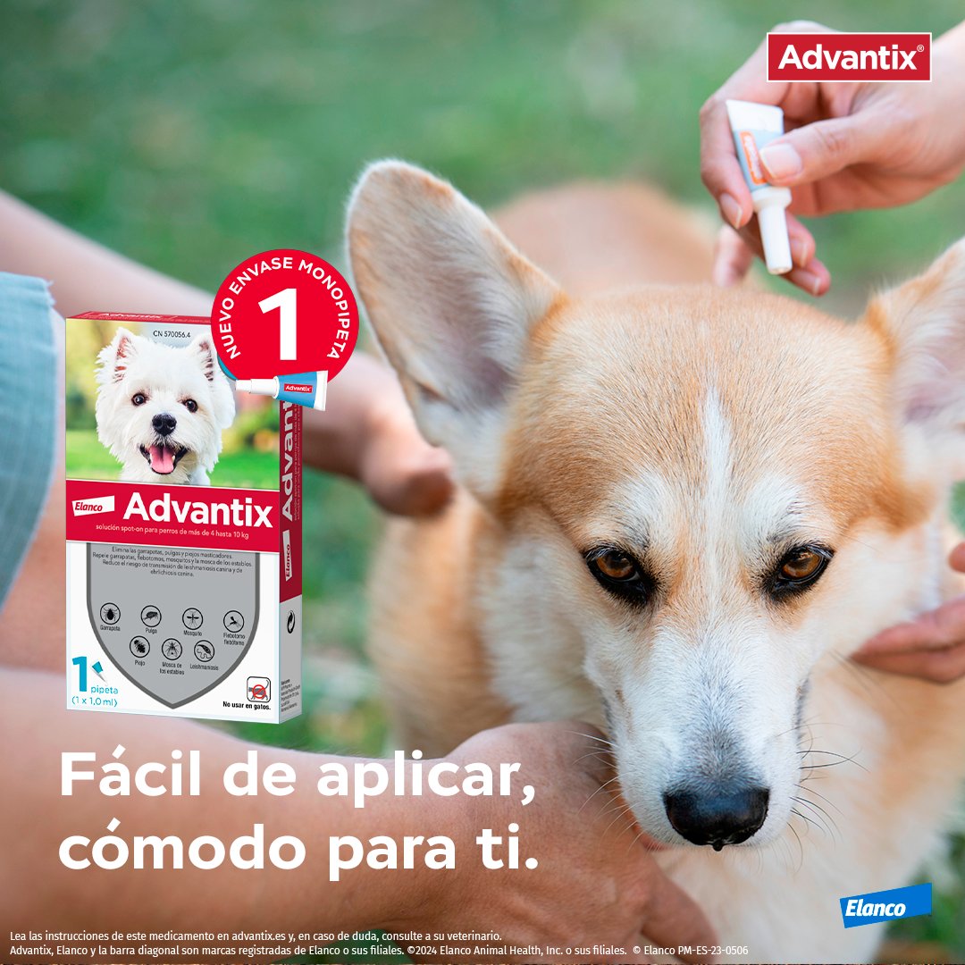 La protección de siempre... ¡ahora en un envase más práctico! 🐕💧 Con la nueva monopipeta de Advantix®, dale a tu peludo hasta 30 días de tranquilidad con una sola aplicación.

Menos envases, más comodidad para ti y tu perro. 🙌🐶