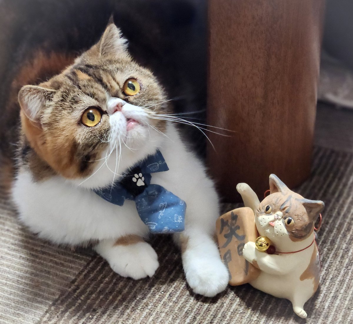 joss_aqua's tweet photo. オーダーメイドでふうちゃんの招き猫を作ってもらいました😊 https://t.co/1cQ6naFyWQ