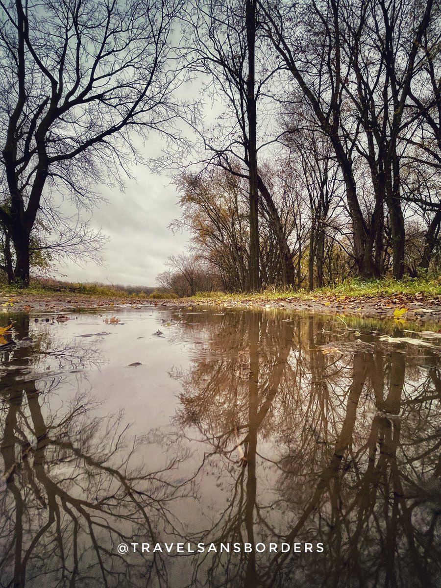 TravlSansBrders's tweet image. If the only prayer you ever say in your entire life is thank you, it will be enough.
-Meister Eckhart 🧐🤗🙏

#expeloremn #puddlereflection @mnstateparks @exploreminn @SaintPaul