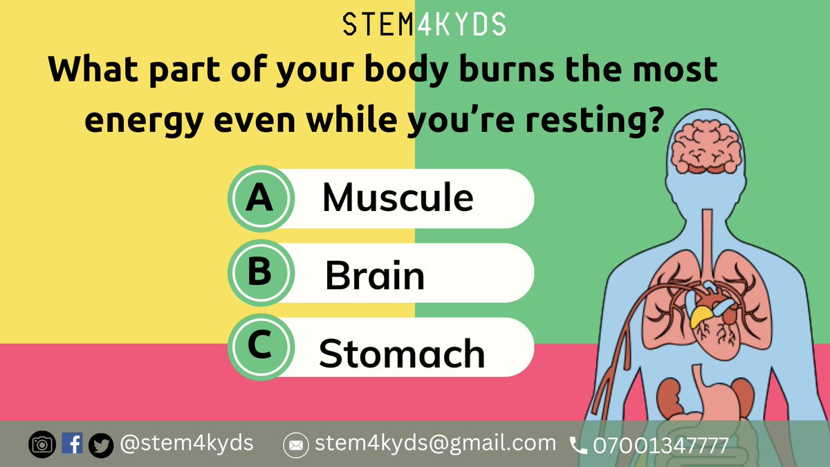 stem4kyds's tweet photo. Hi kids😊 it's a lovely monday morning with a little quiz for you. Can you guess the right answer? Let's see your answers in the comment section 👇🏽👇🏽

@unwomenafrica @UN @UNESCO @CocaCola_NG @womensday @SciAfterSchool @ConvergenceNG @STEMiAfrica @bosuntijani @FMINONigeria https://t.co/Hq0163iQpU
