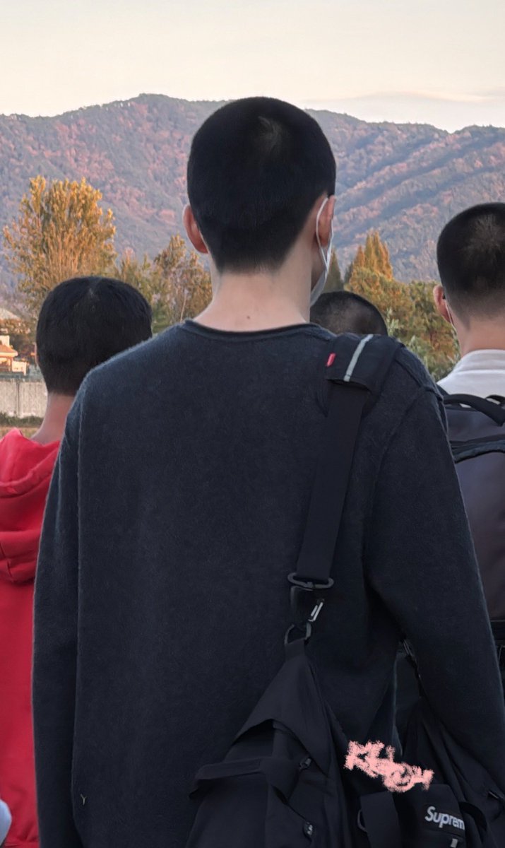 아기고슴도치두더지 ㅠ 실화야? 완전 완전 완전 두상 ㅈㄴ 예뻐… 개커여워