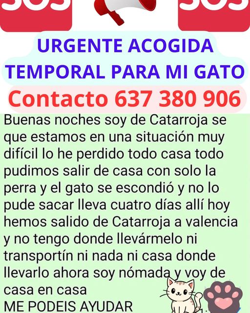 isagato62's tweet image. 