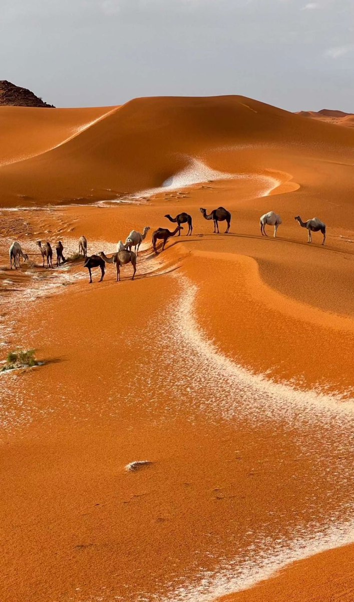 لقطات ساحرة من الجوف .. شمال السعودية 
-