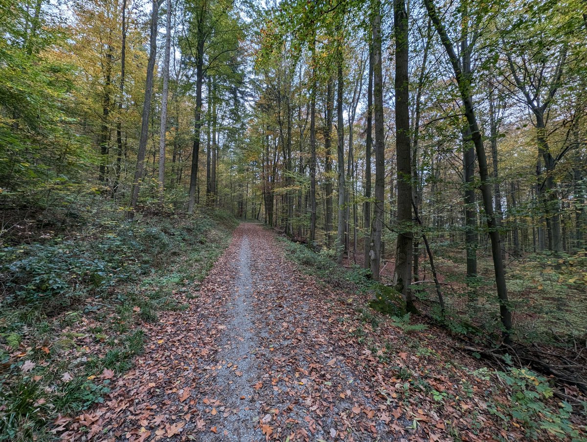 Christopher Hall tweet media