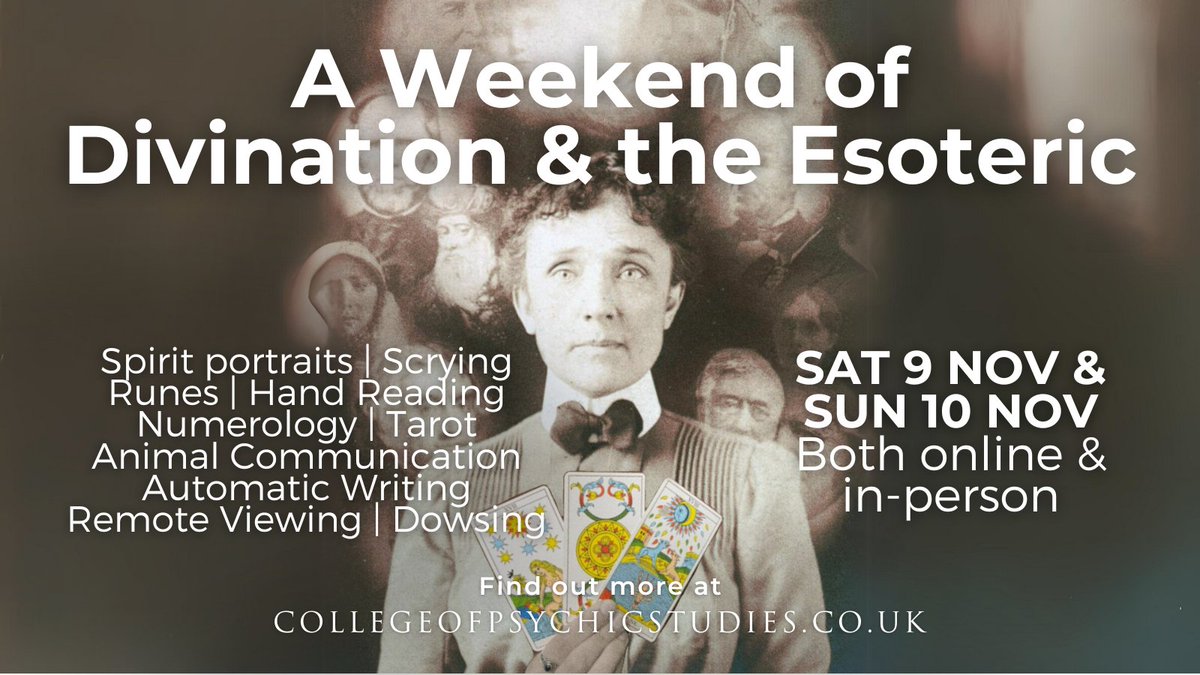 Bad Witch tweet media