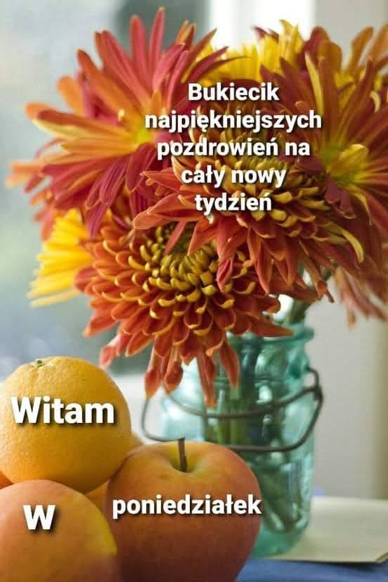 stanis_la's tweet photo. Witam w Nowym tygodniu 🌞 Miłego dzionka Wam Życzę 🌞☕😘 https://t.co/TBgONsX6yE