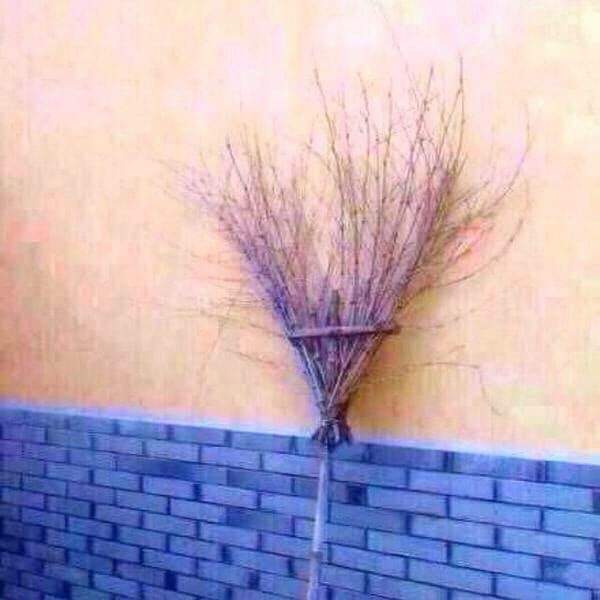 I think it's time to get a new broom