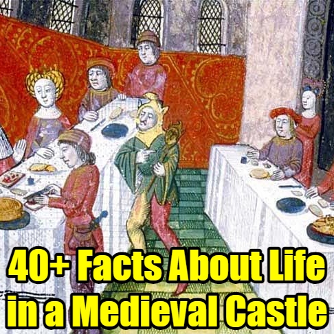 ThisStoryStore's tweet image. 40+ Facts About What Life in a Medieval Castle Was Really Like
omgcheckitout.com/what-it-was-li…