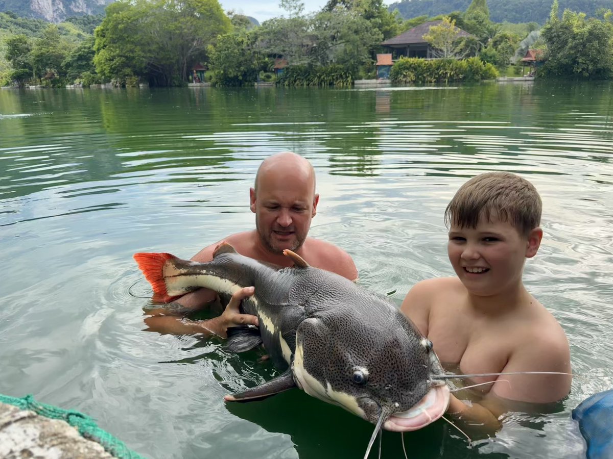 Milo caught this amazon red tail catfish at <a href="/GillhamsFishing/">Gillhams fishing</a> definitely one we won’t forget in a hurry!
#takeyourkidsfishing #makeitfun

#fishing #getfishing #hindersbait #gillhams #thailand #catfish #fishingfamily #fishinglife #fishingkids