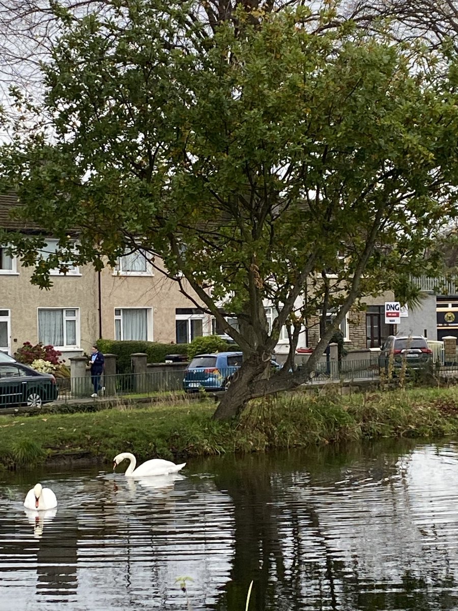 Linda FitzGerald tweet media