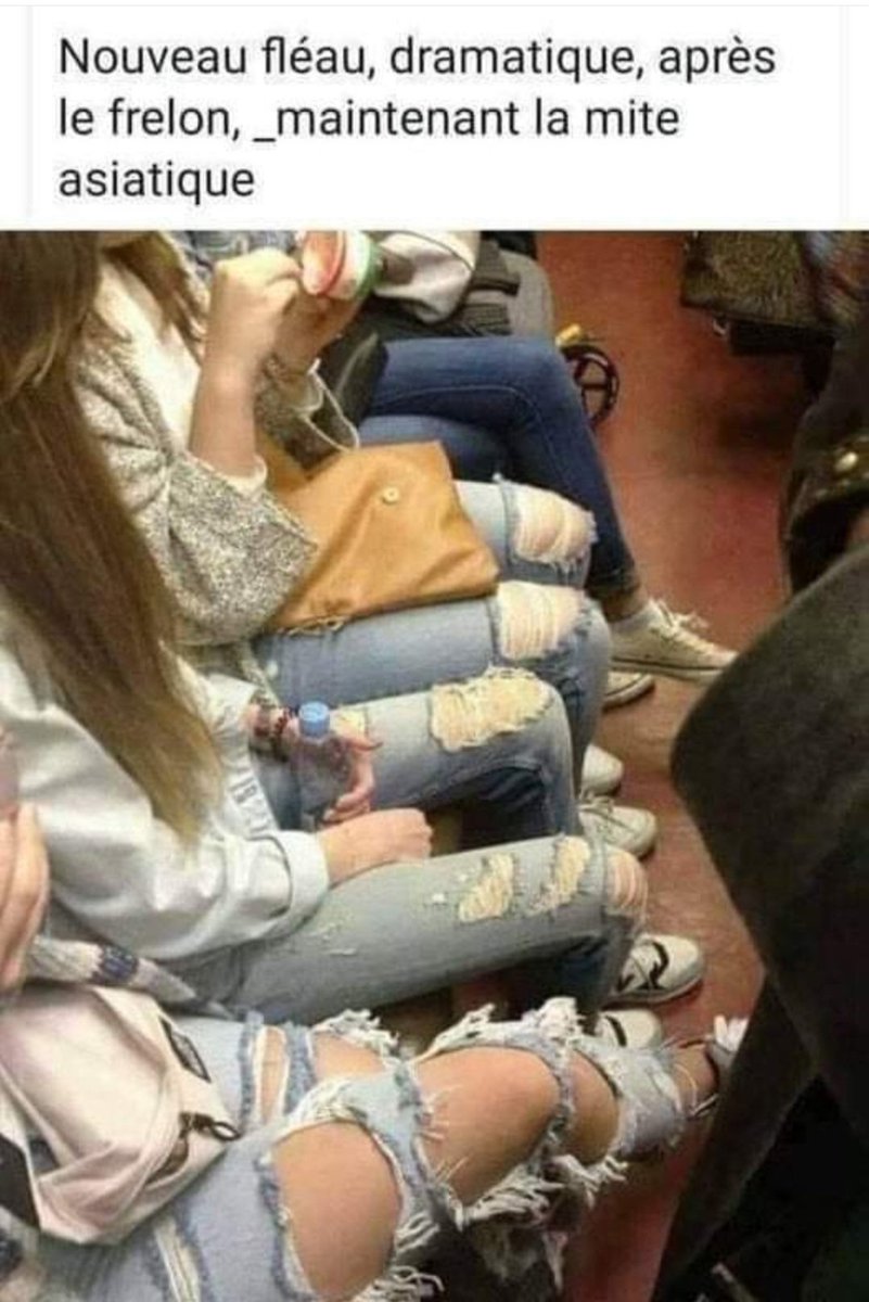 Encore un nouveau fléau 😅😅😅