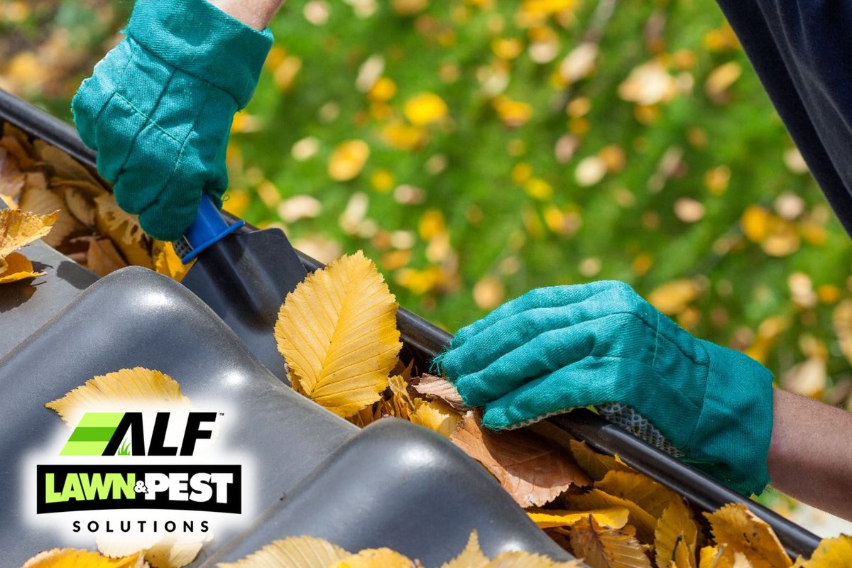 ALFLawnPest's tweet image. 🌿 Too many dried leaves that troubles your home? 🌱 HOA maintenance ensures your community stays clean and beautiful year-round! ALF Lawn &amp;amp; Pest Solutions has your back. 📞 Call us today to keep your neighborhood pristine! #hoamaintenance #lawnsolutions #communitycare