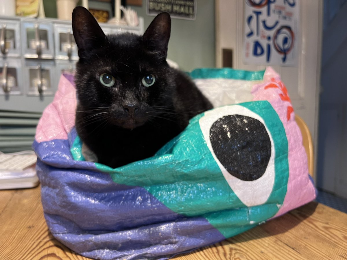 Not sure why my work bag is so heavy this morning