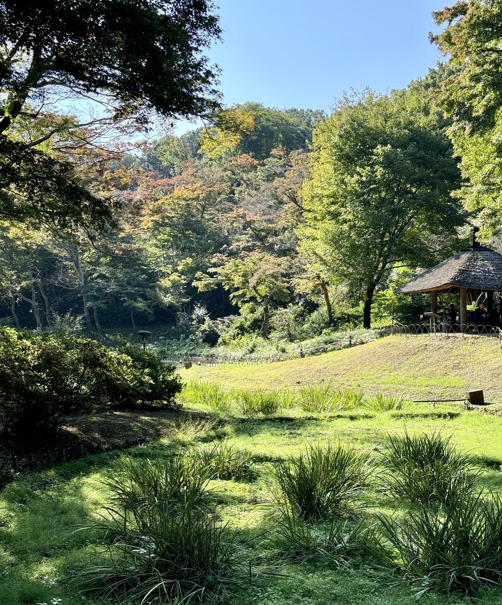 Mr Denmore tweet media