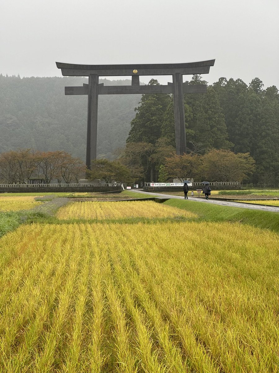 I’m travelling in beautiful Japan. With ‘Brand USA’ destroyed, Australia could learn from the Japanese who have a humble, collective, earth-respecting, quiet culture that honours nature, beauty and human dignity.