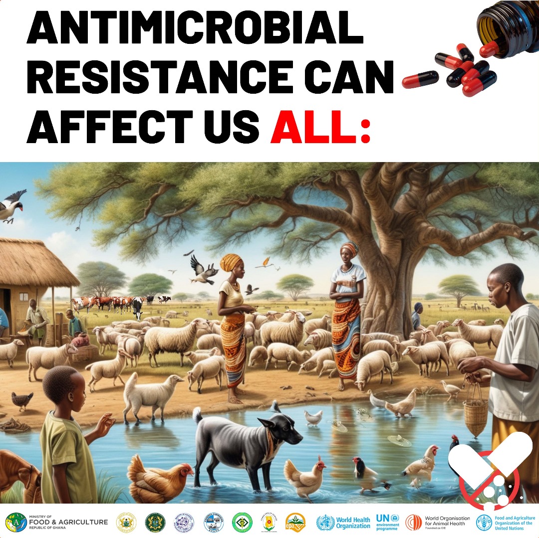 Antimicrobial resistance doesn't discriminate. It can affect animals, humans, and plants alike. Let's raise awareness and take action to protect our health and the environment. #AMR #2024WorldAntimicrobialResistanceAwarenessMonth"