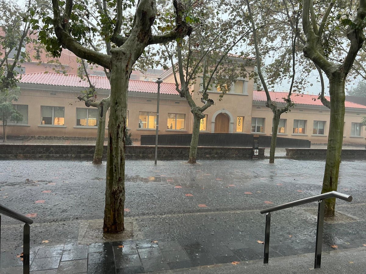 📢ATENCIÓN❗️:

· Suspendidas TODAS las actividades municipales hasta las 1⃣5⃣:0⃣0⃣ horas 

· Se cierran TODOS los equipamientos municipales hasta la misma hora

#Castelldefels