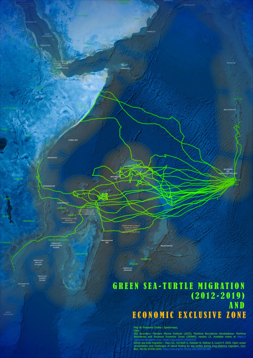 Spatiomaps's tweet photo. For Day 2 lines of #30DayMapChallenge , i made  a map of Green Sea #turtle #migration pathways in western Indian Ocean from @MovebankTeam  Data and overlapped it on EEZ (Exclusive Economic Zones). For more Details 
#gischat #geospatial #MarinePreservation 
https://t.co/8WN9OJp79g https://t.co/Z24aE4DiDu