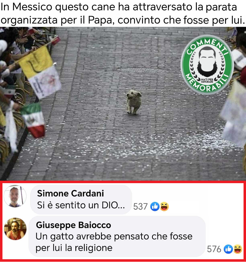 CM_Memorabili's tweet photo. C'è chi vorrebbe avere metà della sua autostima, e chi è un gatto. #commentimemorabili #parate #benemanonbenissimo https://t.co/jpOIE9OYJz