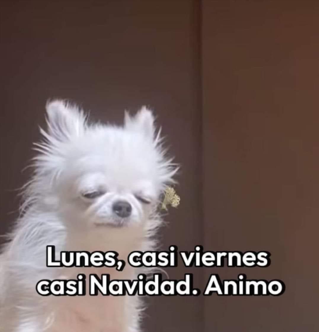 Lunes.