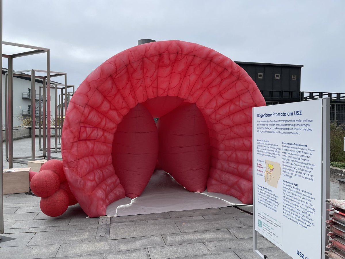 CCCZ_USZ's tweet image. Besuchen Sie heute und morgen am @Unispital_USZ (Nord) die begehbare Prostata und am Samstag den 1. Früherkennungstag Prostatakrebs: usz.ch/veranstaltung/…