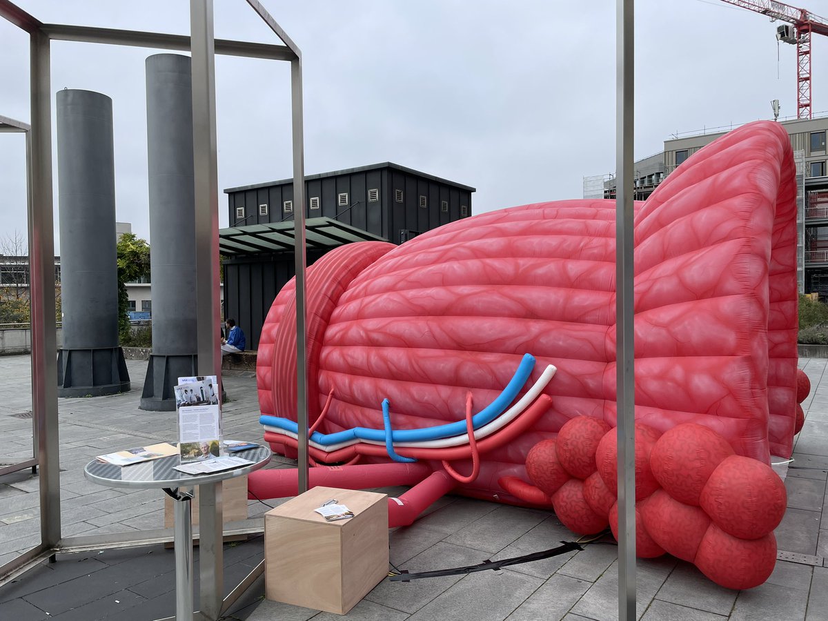 CCCZ_USZ's tweet image. Besuchen Sie heute und morgen am @Unispital_USZ (Nord) die begehbare Prostata und am Samstag den 1. Früherkennungstag Prostatakrebs: usz.ch/veranstaltung/…
