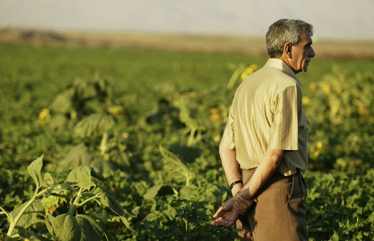 ahmet türk 12 eylül’de diyarbakır cezaevi’nde ağır işkencelerden geçmiş bir isim. 94'te dokunulmazlıkları kaldırılan diğer dep milletvekilleri gibi meclis'ten polis zoruyla çıkarıltılıp arkadaşlarıyla sincan cezaevinde hapsedildi. 2009'da dtp'nin kapatılmasıyla yeniden
