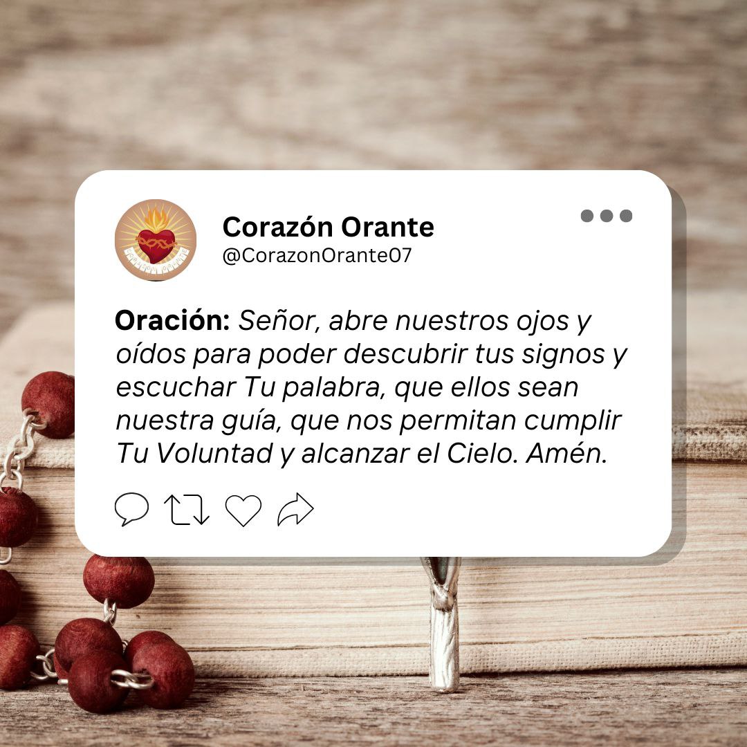 consuelito4's tweet image. 