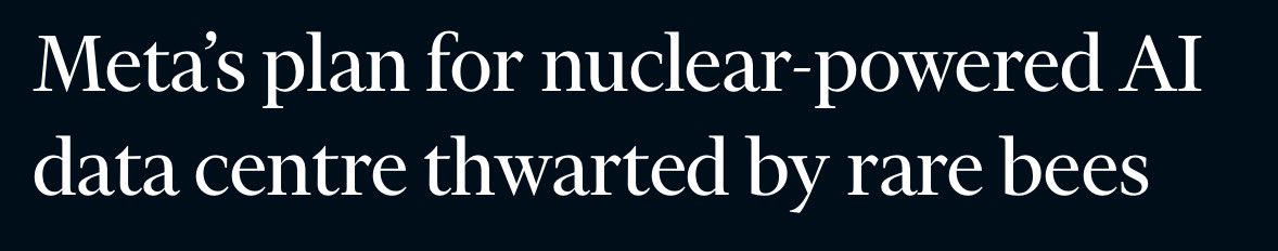 Thibault tweet media