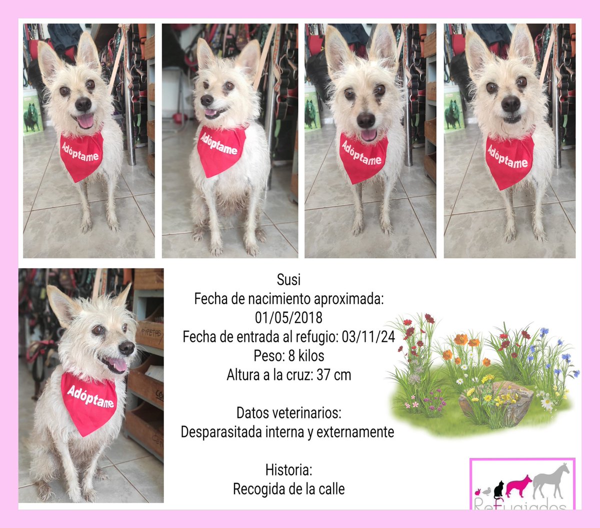 Susi
facebook.com/media/set/?set…