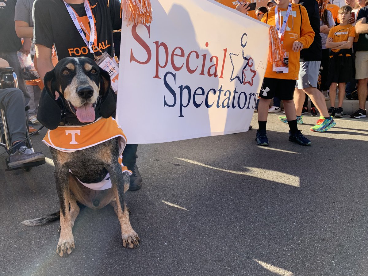 Special Spectators tweet media