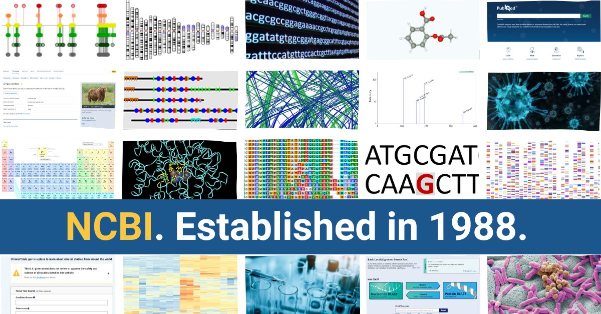 Happy anniversary, NCBI! From our beginning in 1988 to today, we create and maintain critical resources bridging research and human health with a focus on community collaboration. Thank you to all who contribute. Browse our resources: ow.ly/JsyT50QYb9n