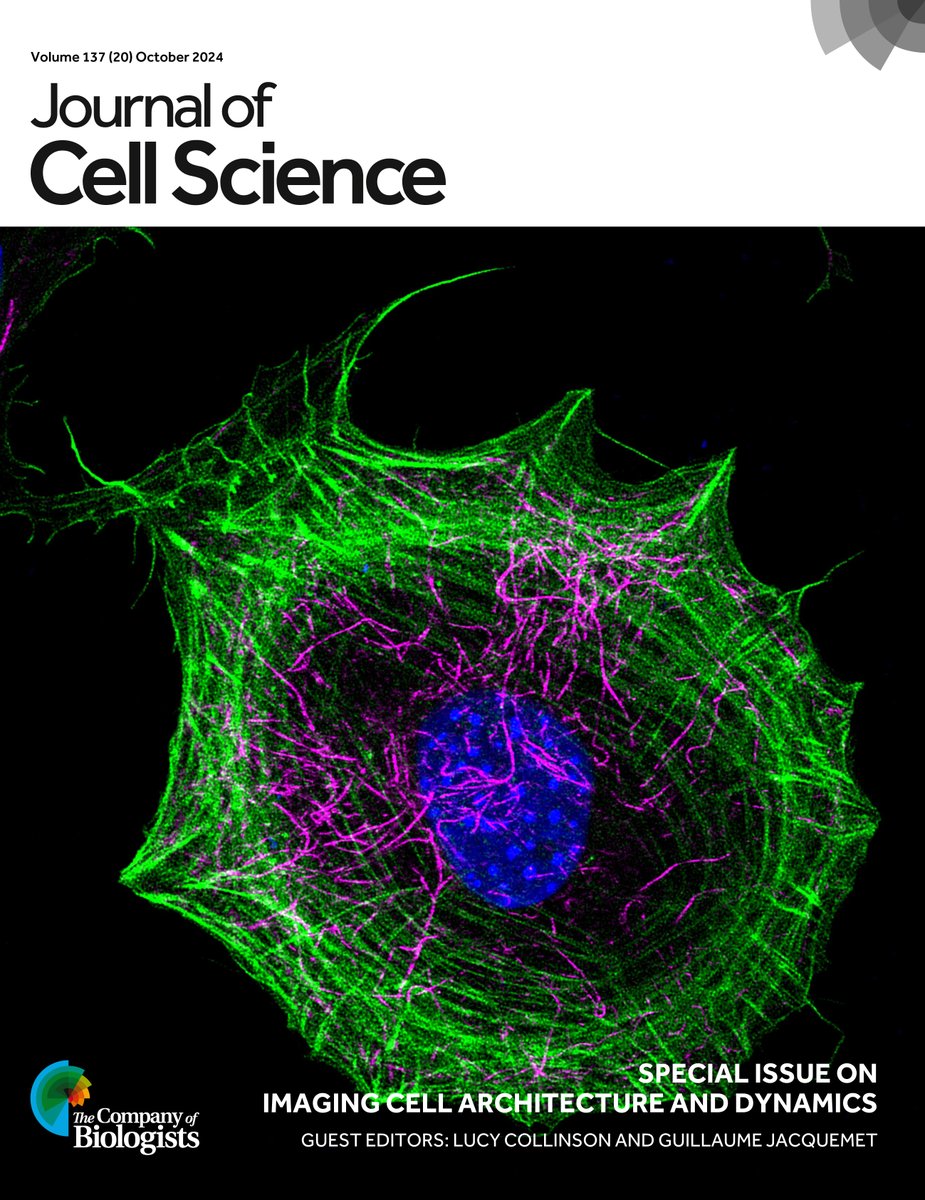 J Cell Science (@j_cell_sci) on Twitter photo Our Special Issue on Imaging Cell Architecture and Dynamics is now complete.
You can explore our ToC here: journals.biologists.com/jcs/issue/137/…
‘Breaking symmetry’ from <a href="/AntaraC9/">Antara Chakraborty</a> was the winning image from our cover competition with <a href="/focalplane_jcs/">FocalPlane</a>. The image is a MEF labelled with phalloidin Our Special Issue on Imaging Cell Architecture and Dynamics is now complete.
You can explore our ToC here: journals.biologists.com/jcs/issue/137/…
‘Breaking symmetry’ from <a href="/AntaraC9/">Antara Chakraborty</a> was the winning image from our cover competition with <a href="/focalplane_jcs/">FocalPlane</a>. The image is a MEF labelled with phalloidin