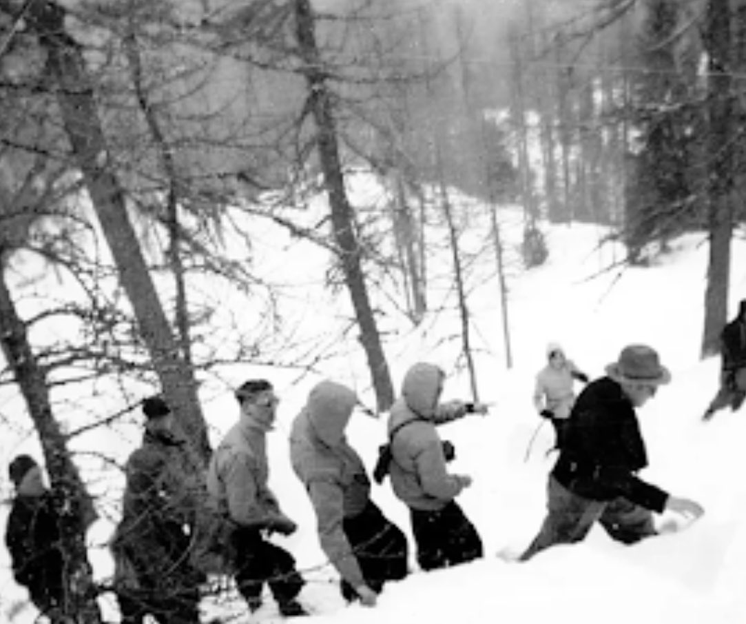 Morbid Knowledge tweet media