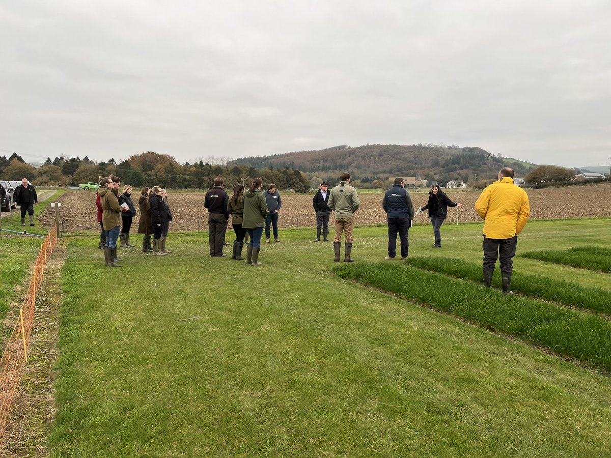 Our annual training course well underway for our customers learning about all things forage. <a href="/wearegerminal/">Germinal</a>