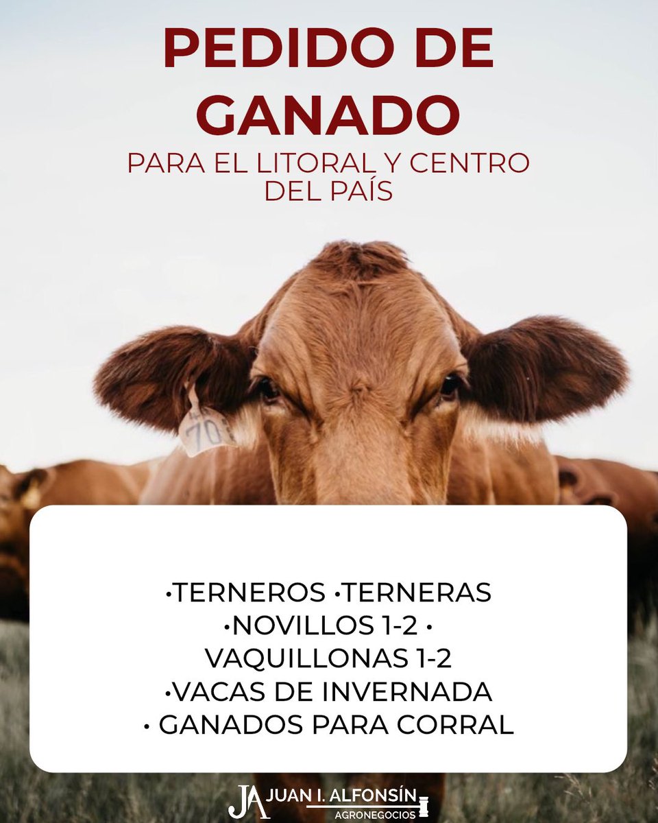 alfonsinuy's tweet photo. Buena semana para todos! a las órdenes ! https://t.co/IrXQbyijfz
