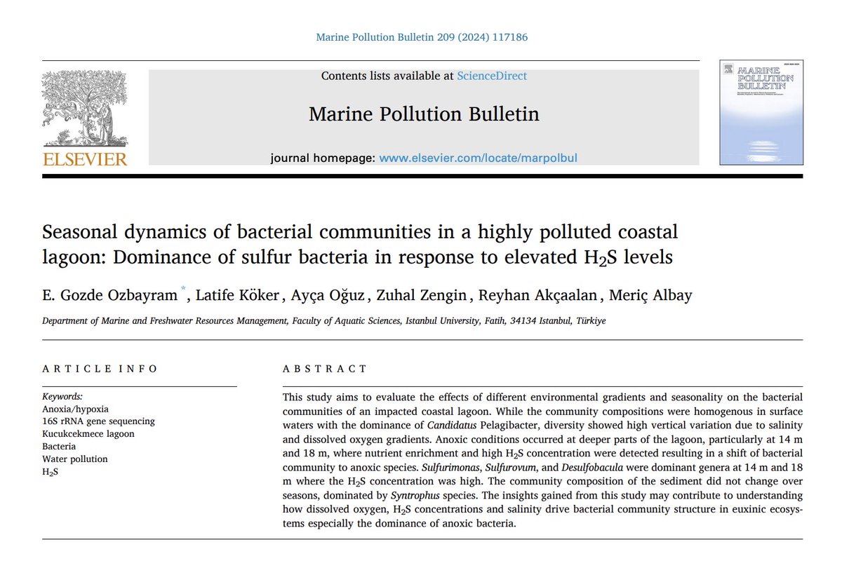 Henüz yayınlanan makalemizi paylaşmaktan büyük mutluluk duyuyoruz.

Bu çalışmada Küçükçekmece Lagünü'nde sülfür bakterilerinin H₂S konsantrasyonu etkileşimini ve  Lagünde her geçen yıl artan anoksik koşullar ve tuzluluğun mikrobiyal yaşam üzerindeki etkilerini araştırdık.
