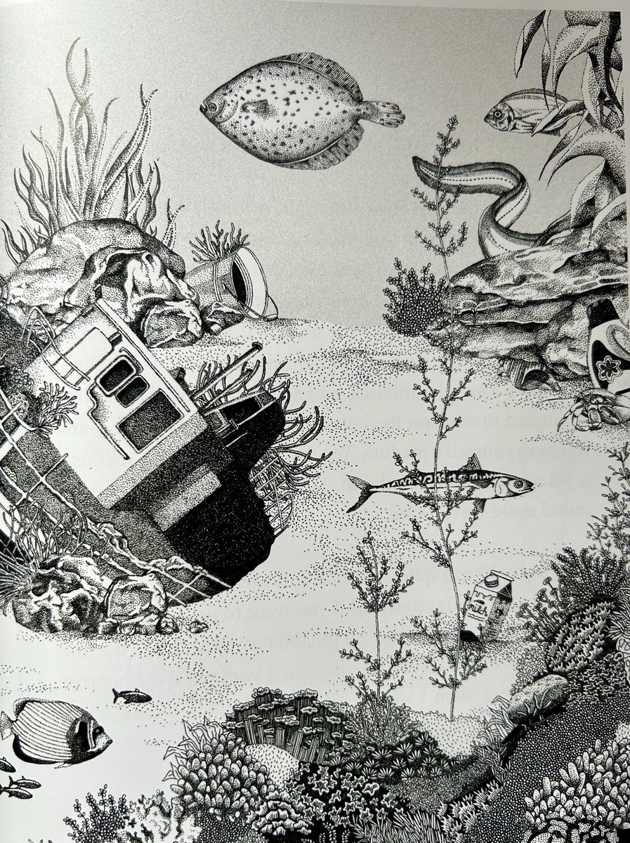 #NewIllustrationOfTheDay by Michele Ganser from Michael Slavaric’s Amazing Jellyfish. Drawn with a pencil and then with the dots technique using a very thin Fineliner pen and scanned and finalised in Photoshop. From ⁦<a href="/PushkinChildren/">Pushkin Children's Books</a>⁩ on 7 Nov. #NNFN2024 ⁦<a href="/FCBGNews/">FCBG</a>⁩