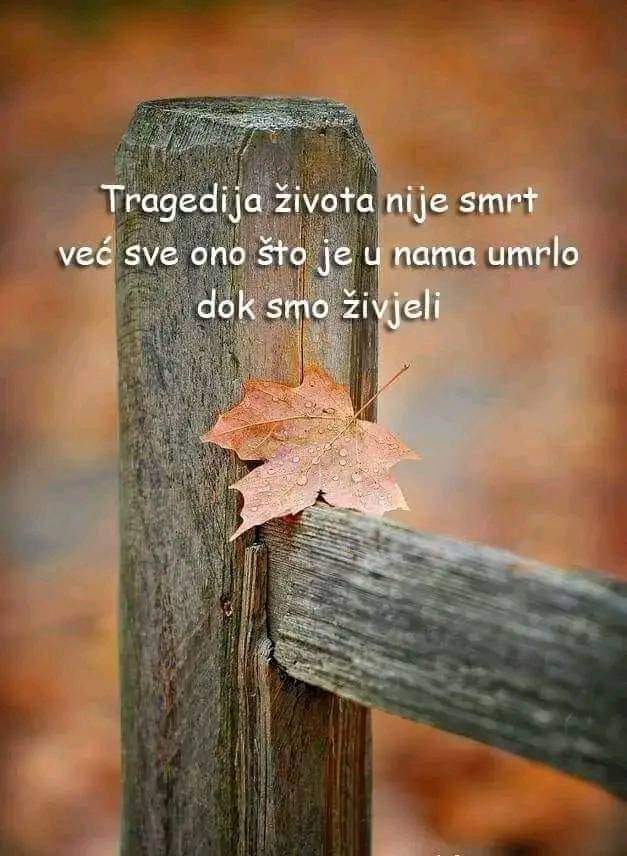 znastvenik (@sanel73) on Twitter photo 